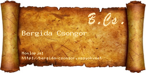 Bergida Csongor névjegykártya